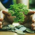 フラット35など長期固定金利ローン活用のメリット・デメリット
