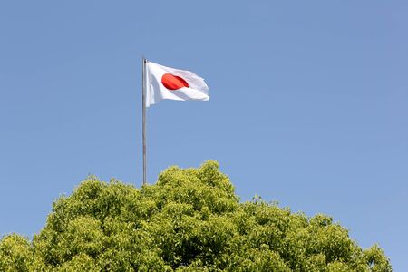 株式投資における為替リスク：日本株と米国株でどう異なるのか？